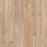 VV800-04039 - Brookfield Maple