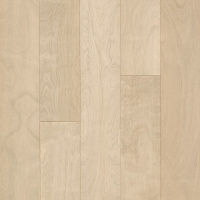 WEK40-02 - Snowy Birch