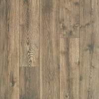 CDL94-04 - Gilded Oak