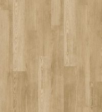 00173_5M304 - Sandstone