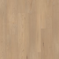 VV800-05035 - Douglas Maple