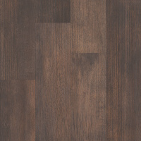05019_5M308 - Thicket