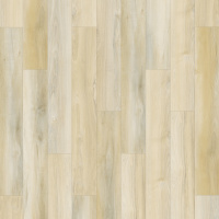 FTS21-423 - Shoreline