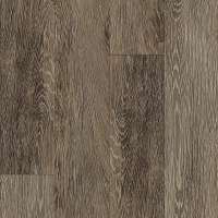 BOW01-892 - Fox Sparrow Oak