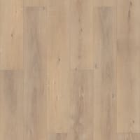 VV488-02091A - Ravenswood Oak