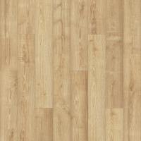 PSR15-258 - Rye Field Oak
