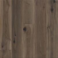 AA806-15036 - Elevation