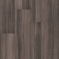 07004_5M308 - Bronzite