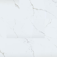 VTRXLCASE18X36-5MM-12MIL - Calacatta Serra