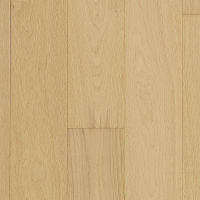 WEK51-02 - Sand Dollar Oak