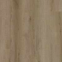 SDS04-858 - Windmont