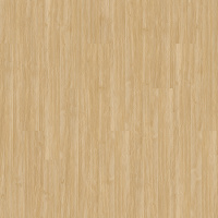 PRS04-222 - Camel