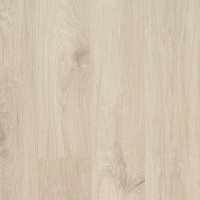 CDL43-01 - Nimbus Oak