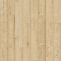 PSR15-148 - Tawny Meadow Oak