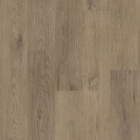 VV017-07037 - Bakersfield Oak