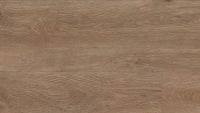 VV035-00908 - Fairweather Oak