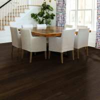 SW707-09045 - Coda