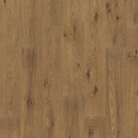 PTL08-862 - Brown Bark Oak