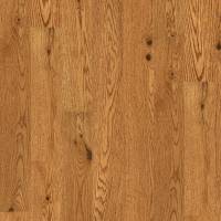 SW786-02080 - Honey