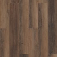 VV488-02094 - Cheshire Elm