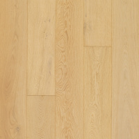 WEK43-02 - Sandcastle Oak