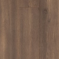 CDL42-04 - Sea Otter Oak