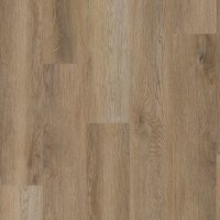 VV017-02061 - Cartwheel Oak