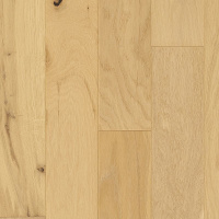 WEK52-03 - Barley Buff