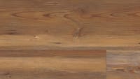 VV035-00913 - Appalachian Pine