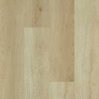 00296_5M402 - River Bend Oak