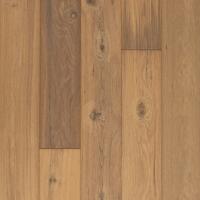 WEK41-05 - Sandbar Oak