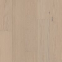 SW776-01153 - Tradition
