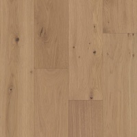 WO601-F1665 - Plain