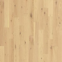 WEK56-137 - Sawgrass Oak