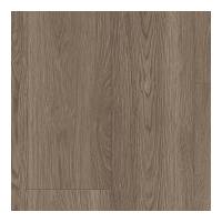 AH105-870 - Harbor Seal Oak