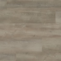 WP413 - Magna