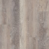 VV585-50008 - Caspian Oak