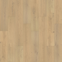 PSR11-831 - Latte Oak