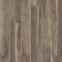 00568_5M308 - Sparrow
