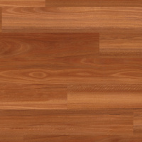 VGW144T-7 - Auburn Spotted Gum