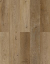 LI-TS102V2 - Toffeenut Umber