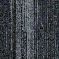 2B195-559 - Trending Now
