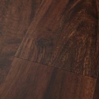 FXP010 - Acacia African Sunset