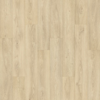 PSR14-721 - Ivory Coast Oak