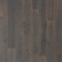 WEK04-80 - Roadside Oak