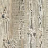 07063_5M402 - Accent Pine