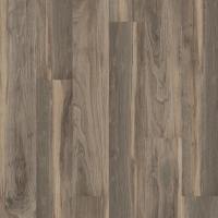 00568_5M303 - Sparrow