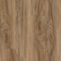 AH100-849 - Tawny