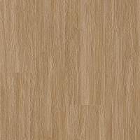 AH080-258 - Tawny