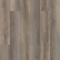 VV490-01655 - Wellington Oak